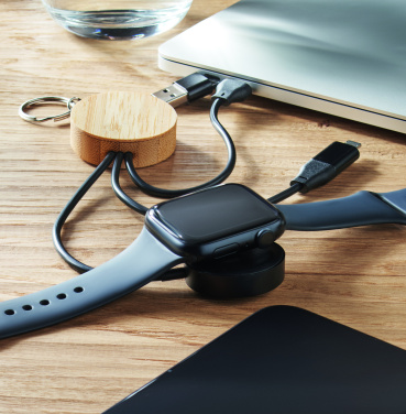 Logotrade promotional giveaway picture of: Key ring with 4 in 1 60W cable